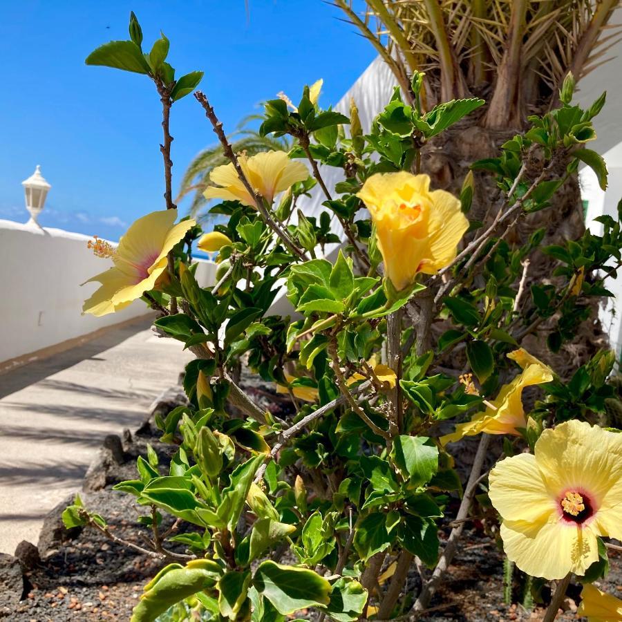Apartamento La Concha Seaview Direct At The Beach & Sea El Cotillo  Exterior photo